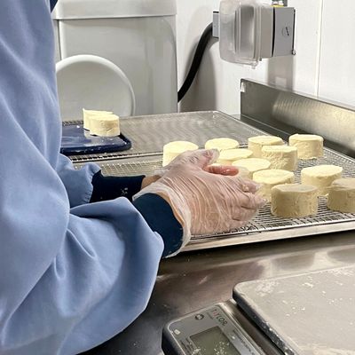 plant-based-cheese-manufacturing-facility